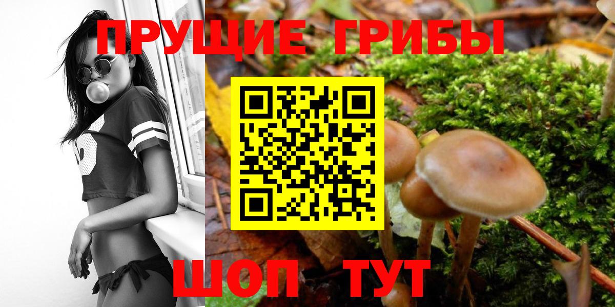 где найти наркотики  Псилоцибиновые грибы мицелий  Вход с VPN  Людиново 