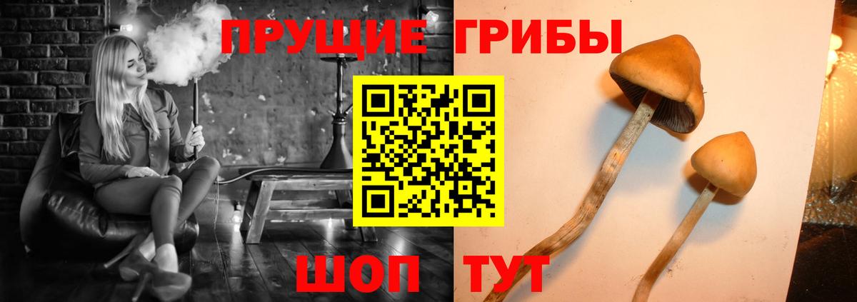 Галлюциногенные грибы MAGIC MUSHROOMS Людиново